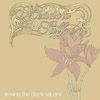 Meadow Saffron - Leaving The Black Square